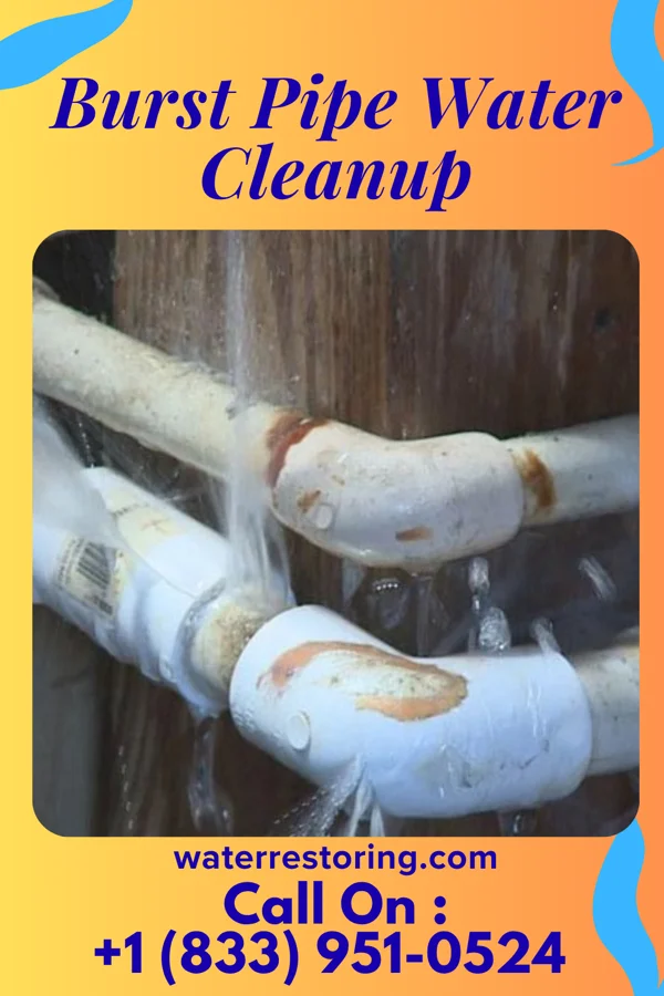 Burst Pipe Water Cleanup in New Richmond, OH