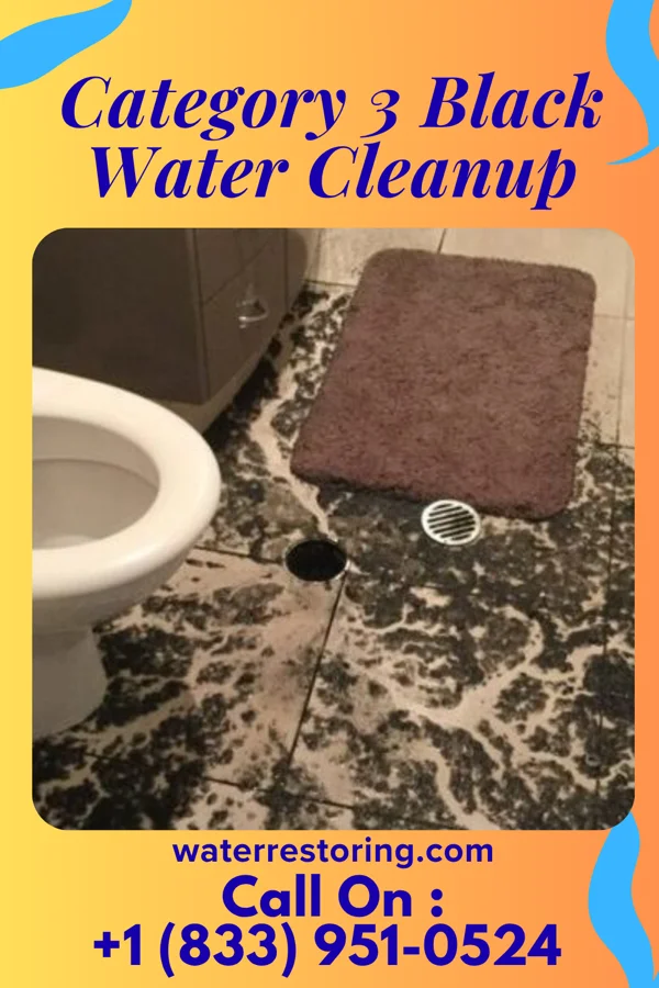 Category 3 Black Water Cleanup in New Richmond, OH
