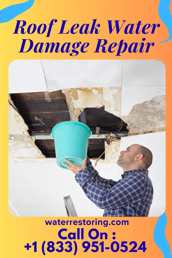 Roof Leak Water Damage Repair in New Richmond, OH