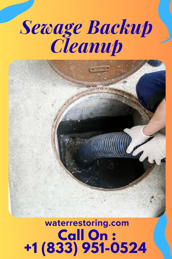 Sewage Backup Cleanup in New Richmond, OH