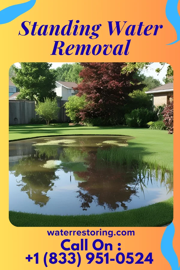 Standing Water Removal in New Richmond, OH